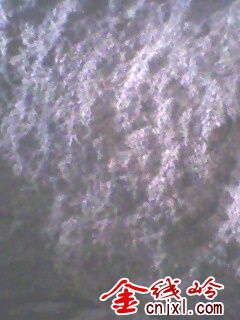 IMG0250A.jpg