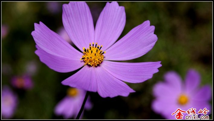 _DSC9477.jpg