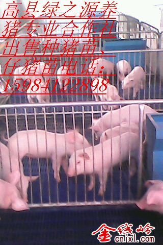 IMG0051A.jpg