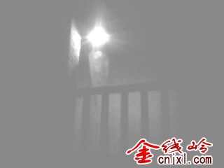 IMG0305A.jpg