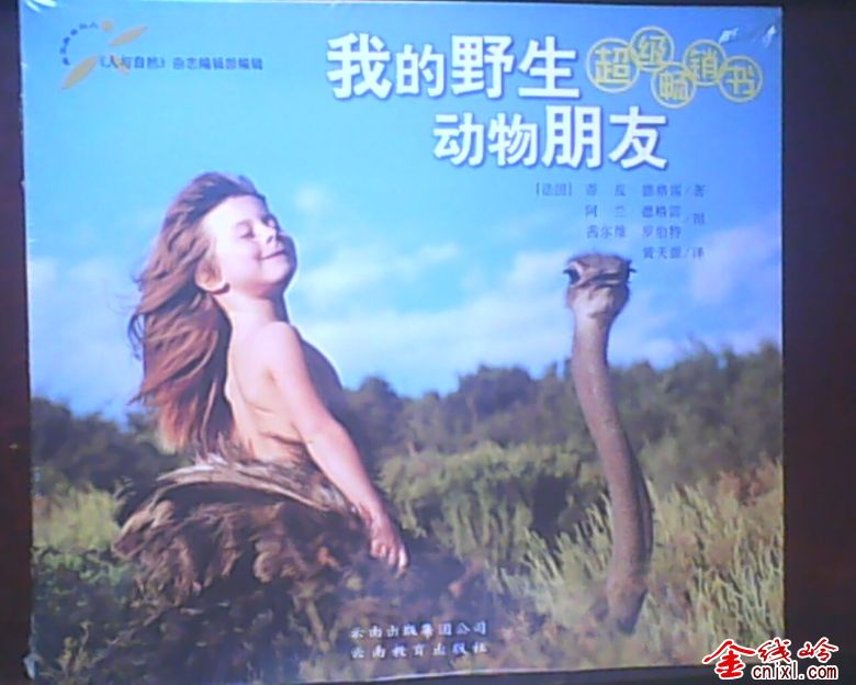 IMG0183A.jpg