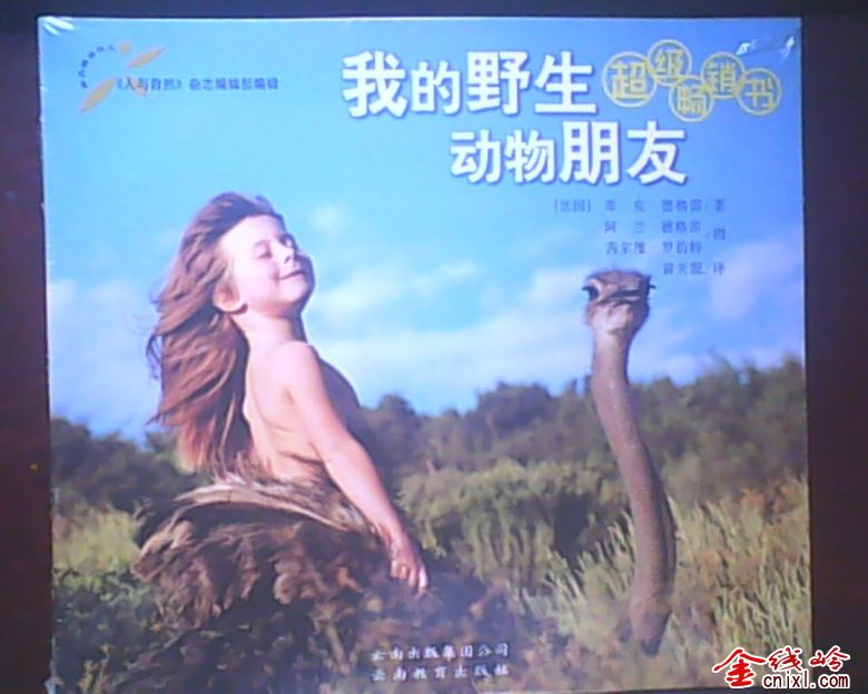 IMG0184A.jpg