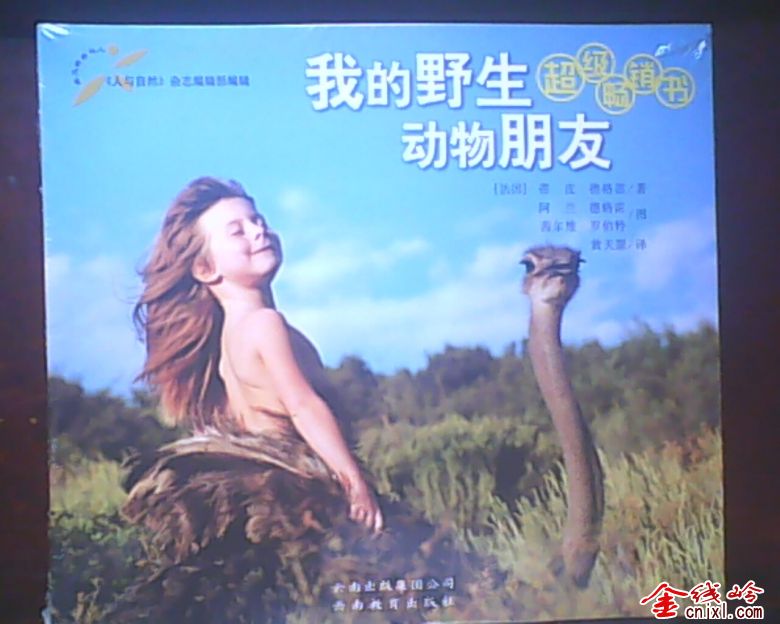 IMG0185A.jpg