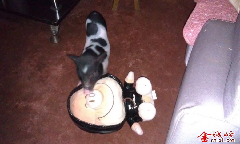 IMAG0097.jpg