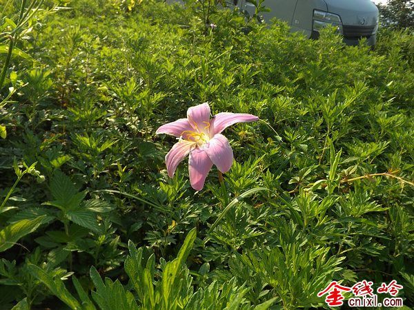ʰ簼֮ 008.jpg