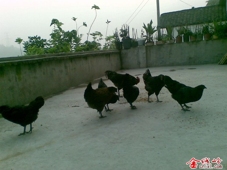 20120813.jpg