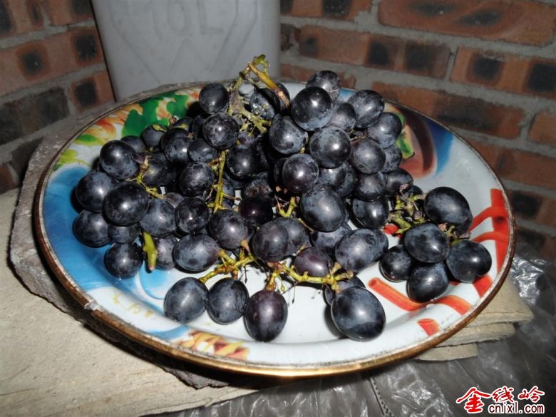 SAM_0210 ().JPG