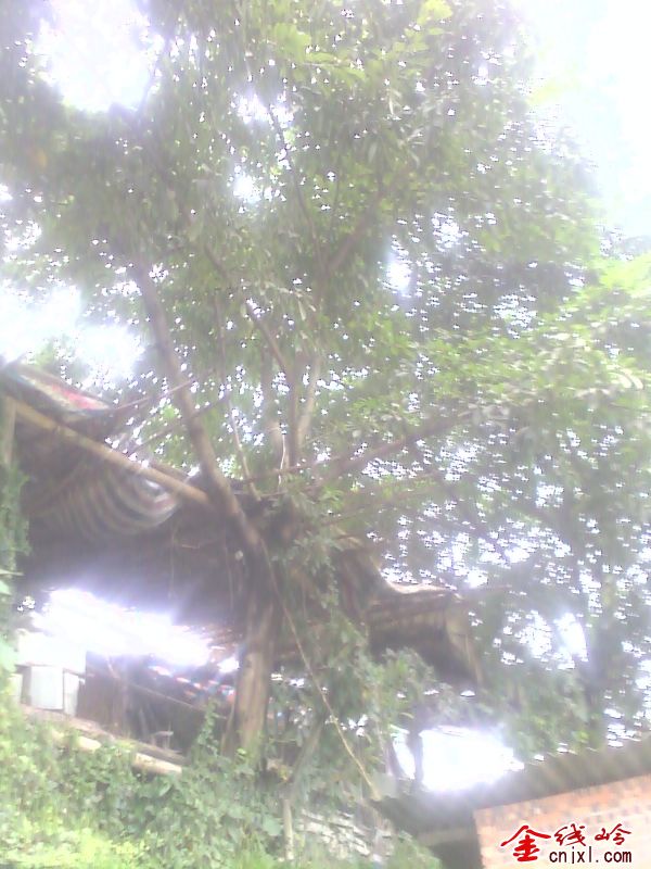 IMG_20120828_174604.jpg