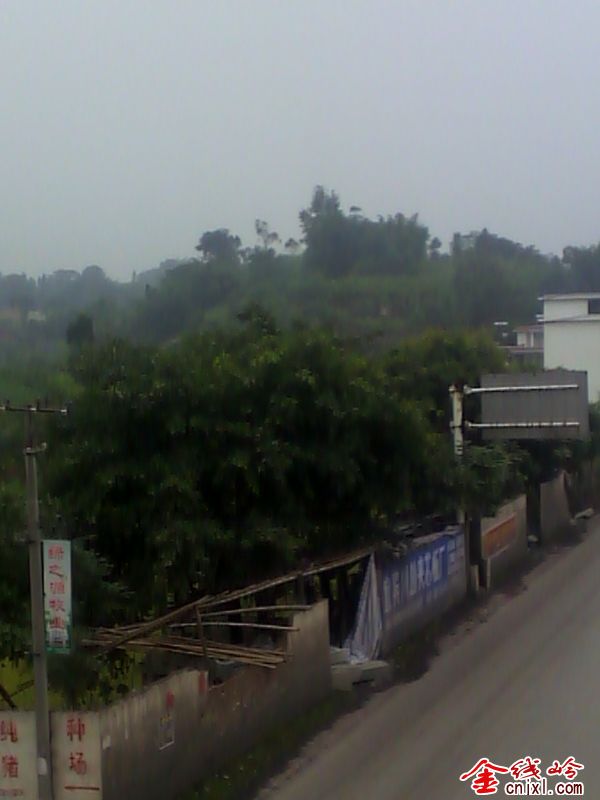 IMG_20120828_180550.jpg