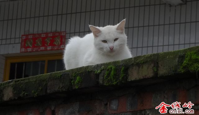 DSC00900.JPG