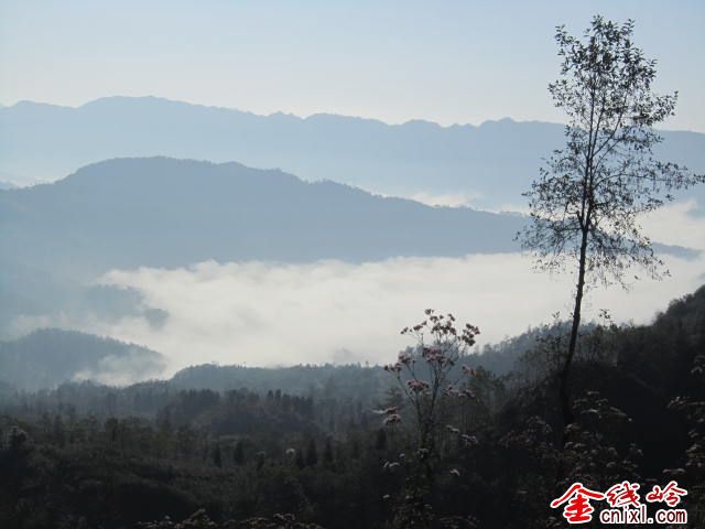 IMG_1489.jpg