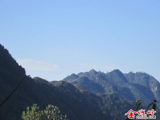 IMG_1504.jpg