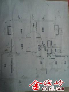 IMG0381A.jpg