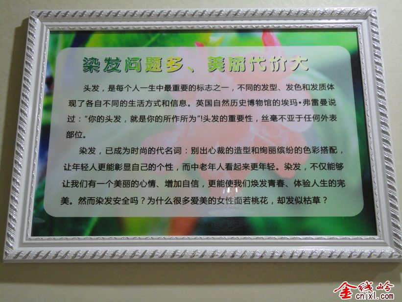 DSC-W390 - DSC08856.JPG