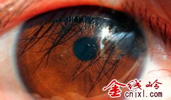 u=399529341,3614663938&fm=23&gp=0.jpg