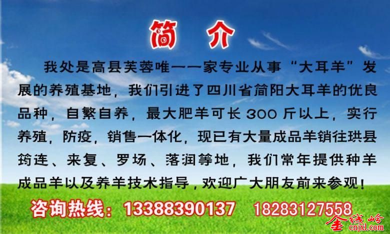 ޱ2.JPG