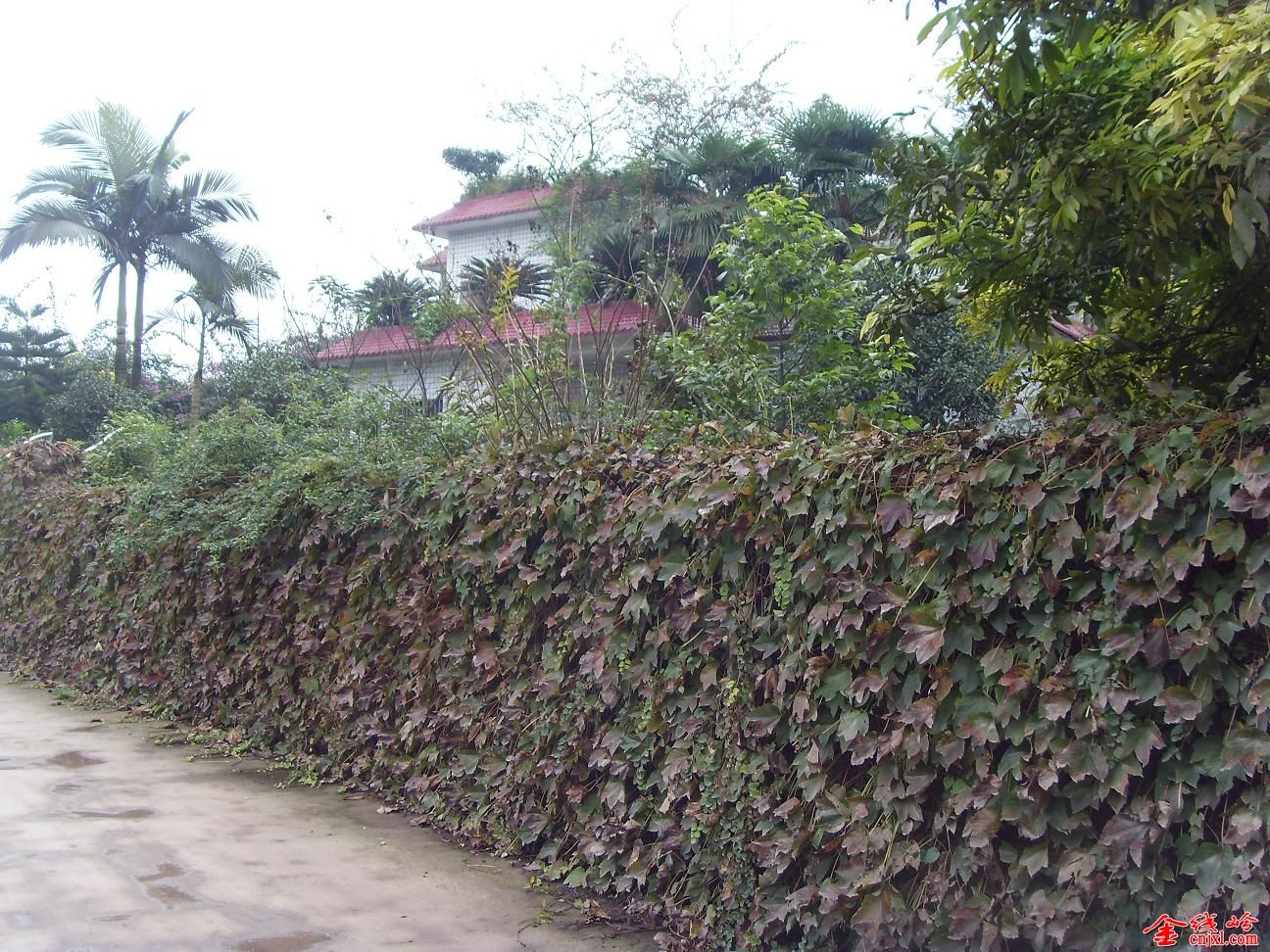 SDC13316.JPG