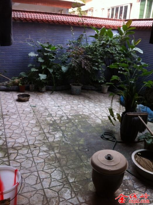 105247gj9l82pock3q22it.jpg.thumb.jpg