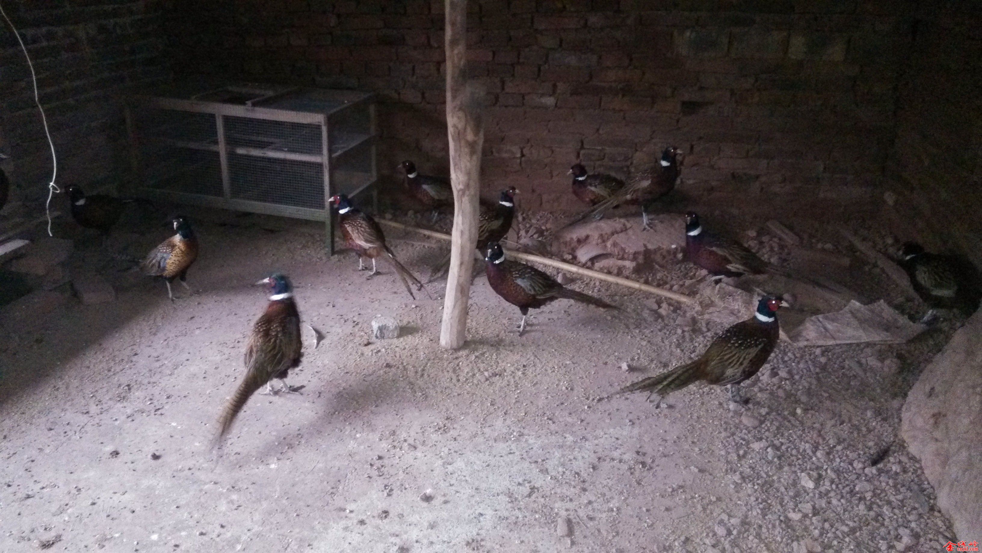QQͼƬ20140101211739.jpg