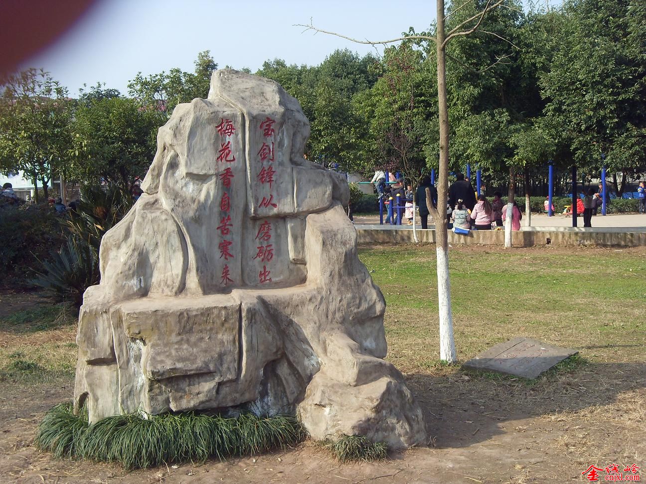 SDC13559.JPG