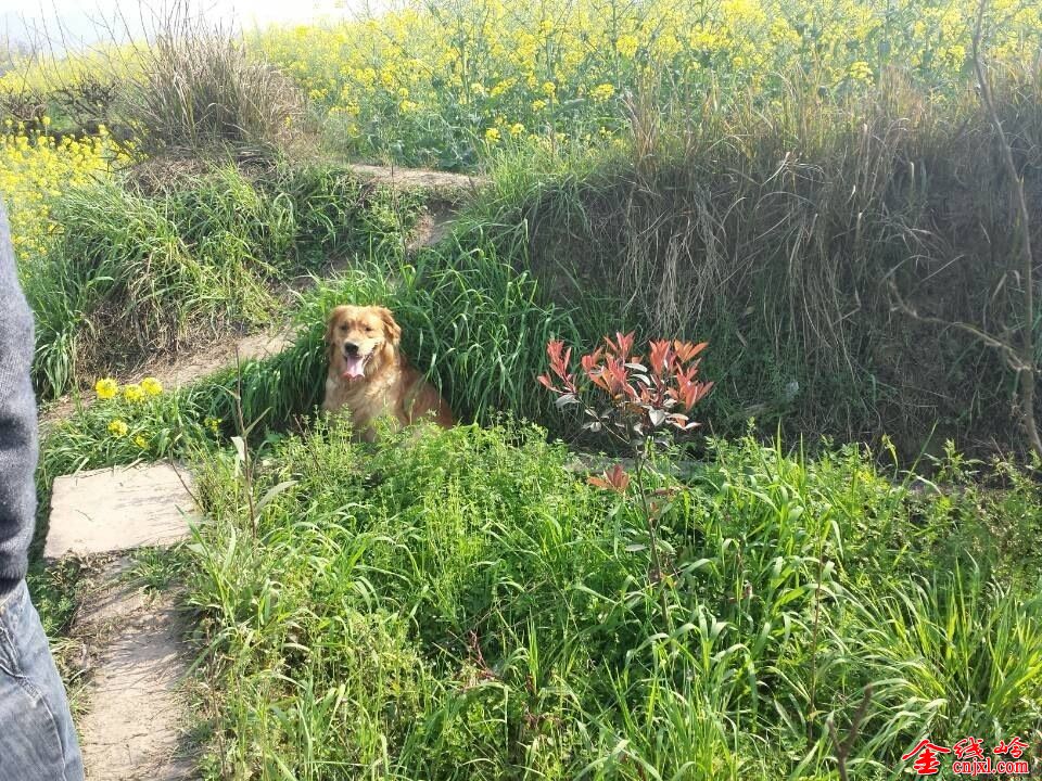 QQͼƬ20140319112523.jpg