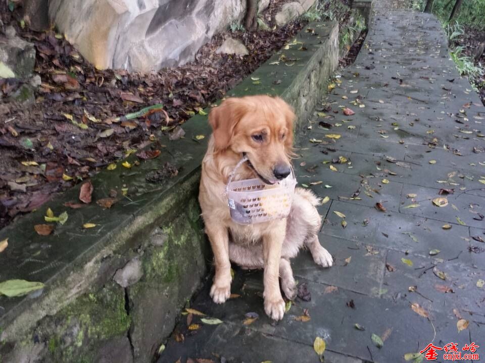 Ȯ