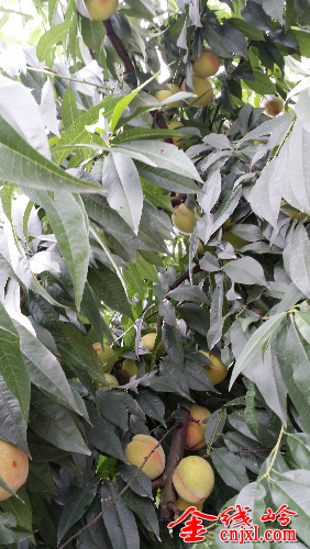 20140613_150723.jpg