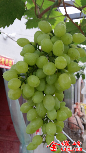 20140613_134047.jpg