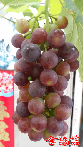 20140613_123124.jpg