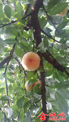 20140618_174813.jpg