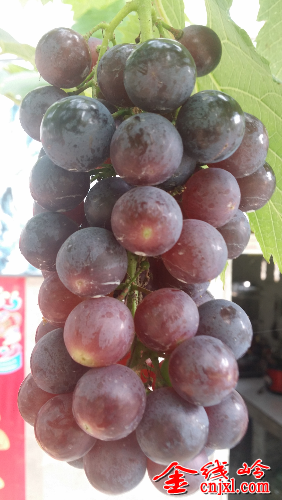 20140618_171715.jpg