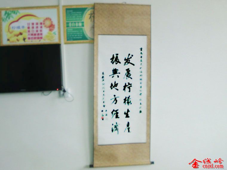 CIMG0699.JPG