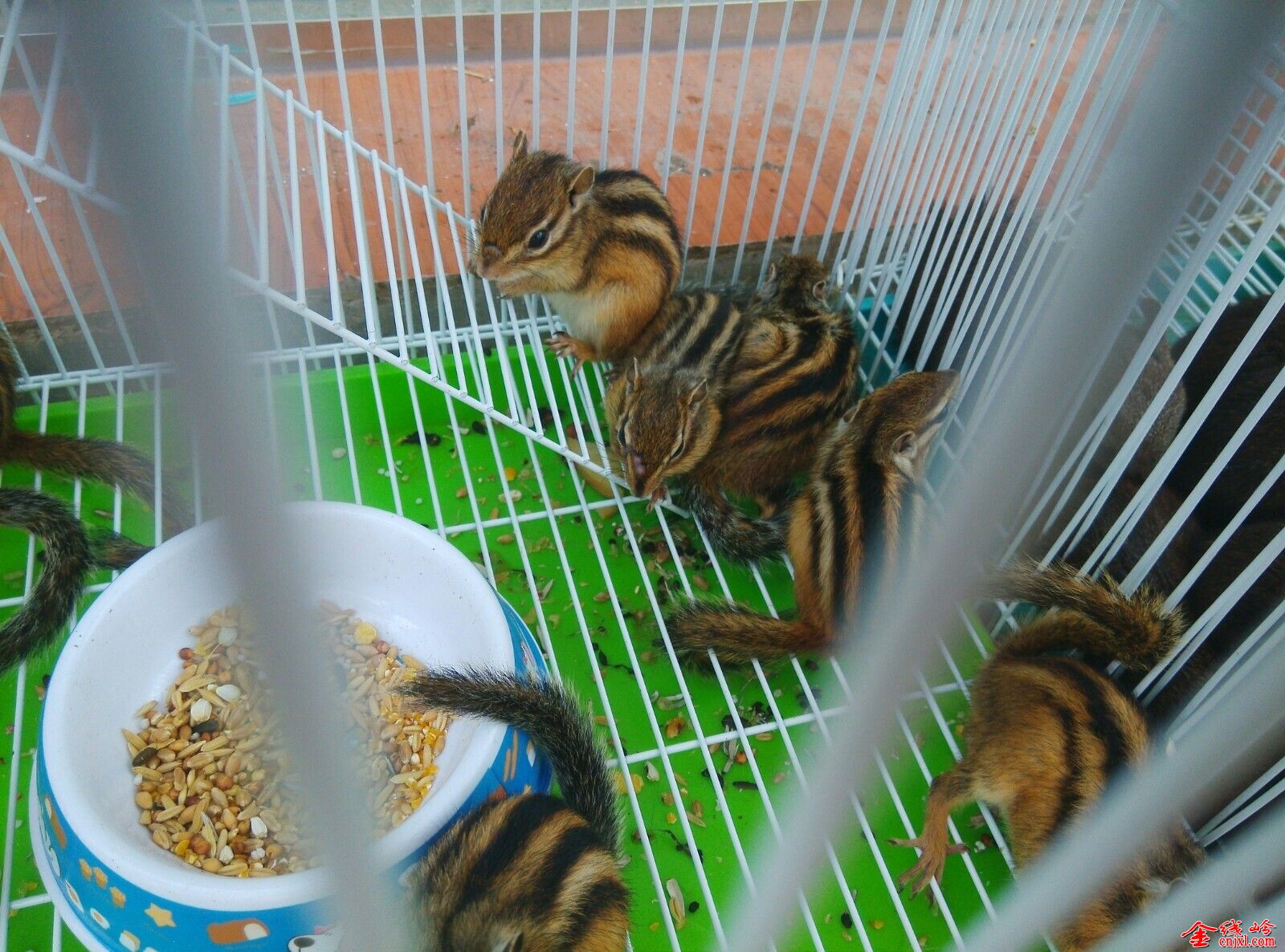 QQͼƬ20140731120226.jpg