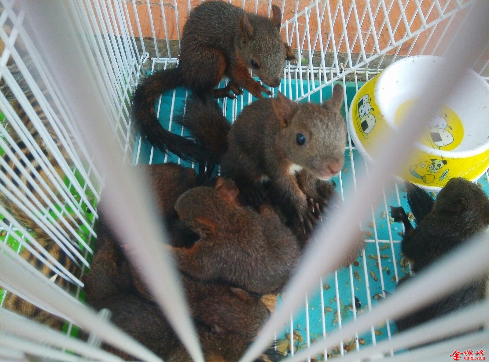 QQͼƬ20140731120232.jpg