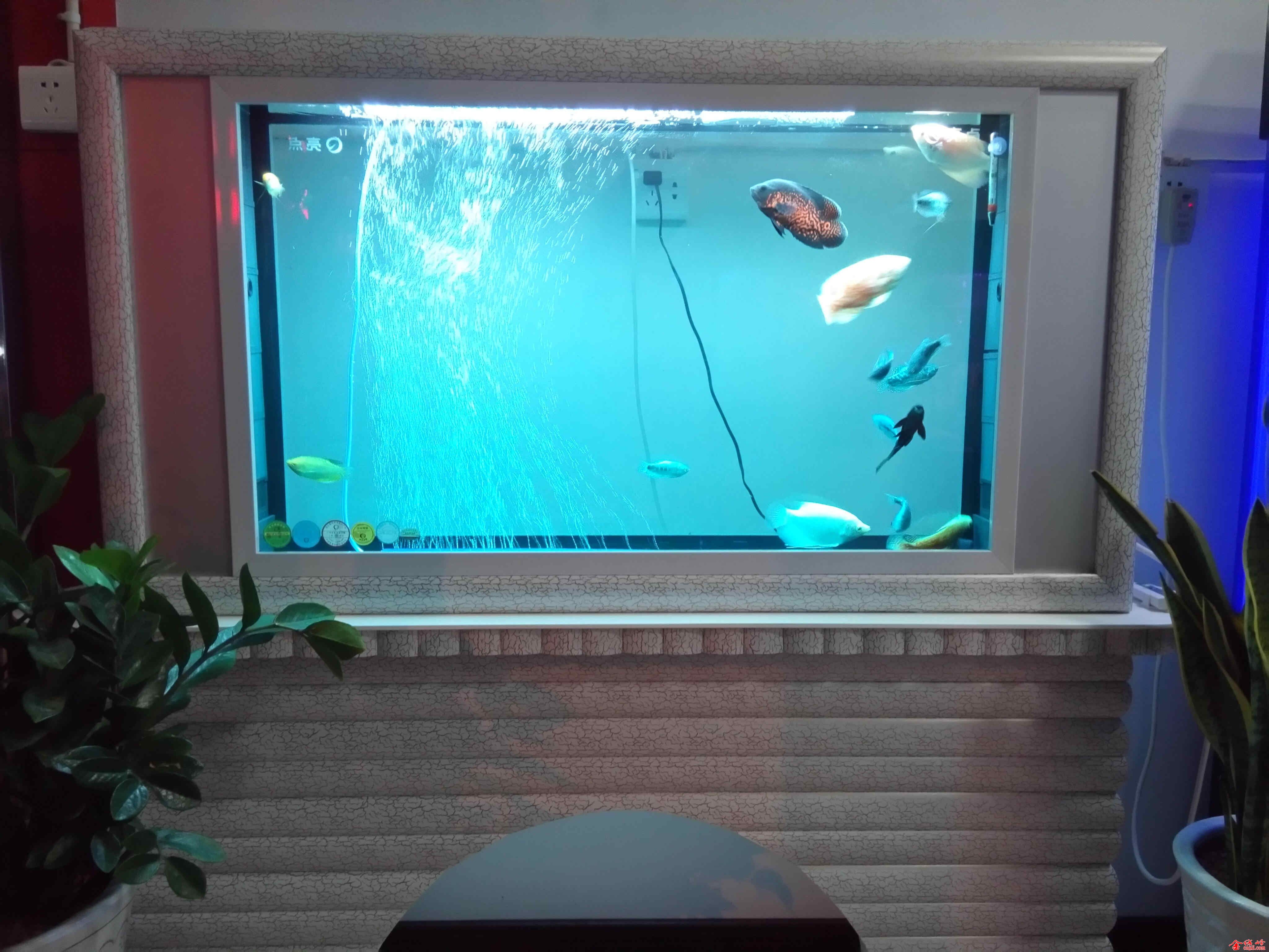 QQͼƬ20140909201537.jpg