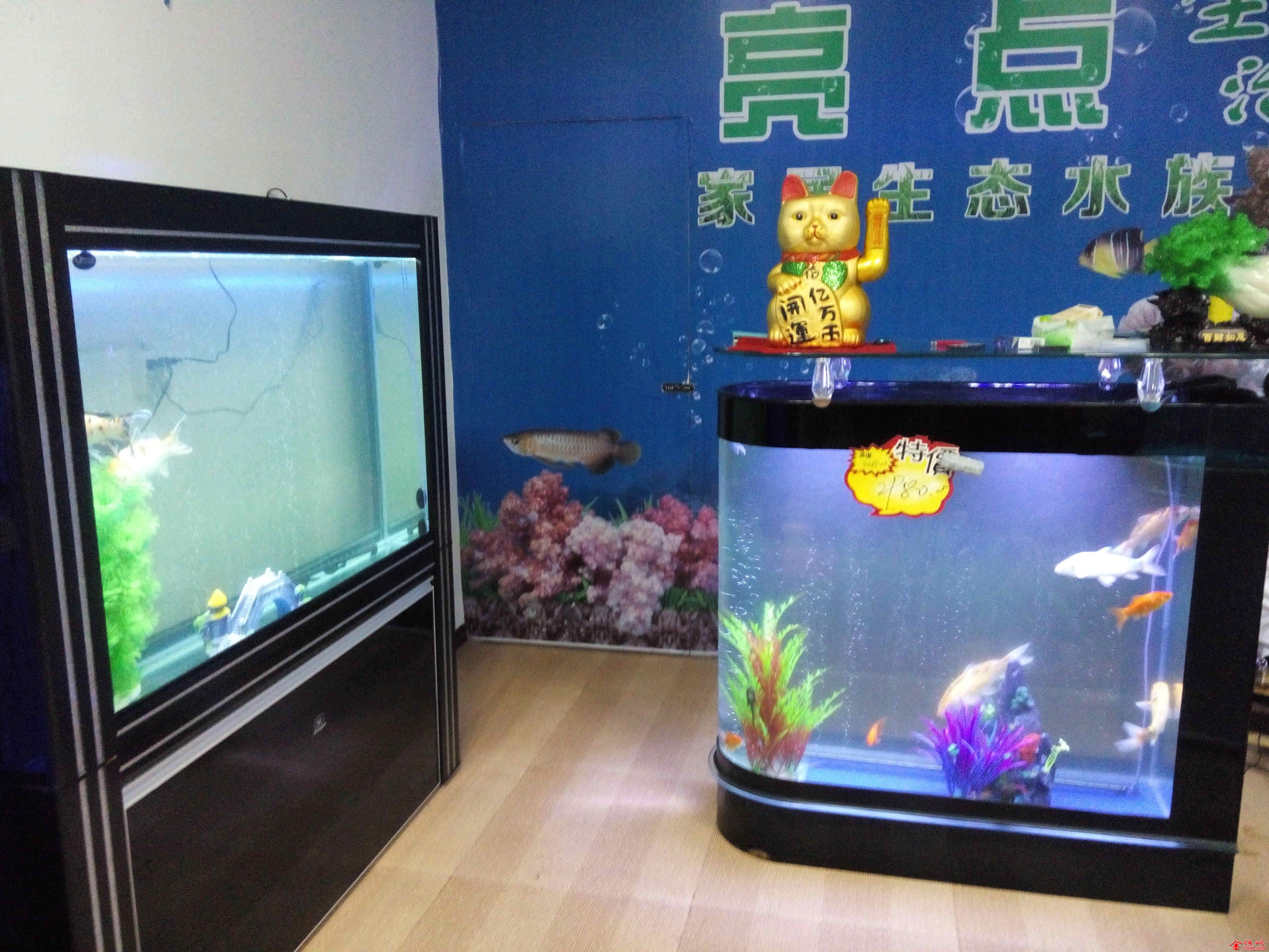 QQͼƬ20140909201558.jpg