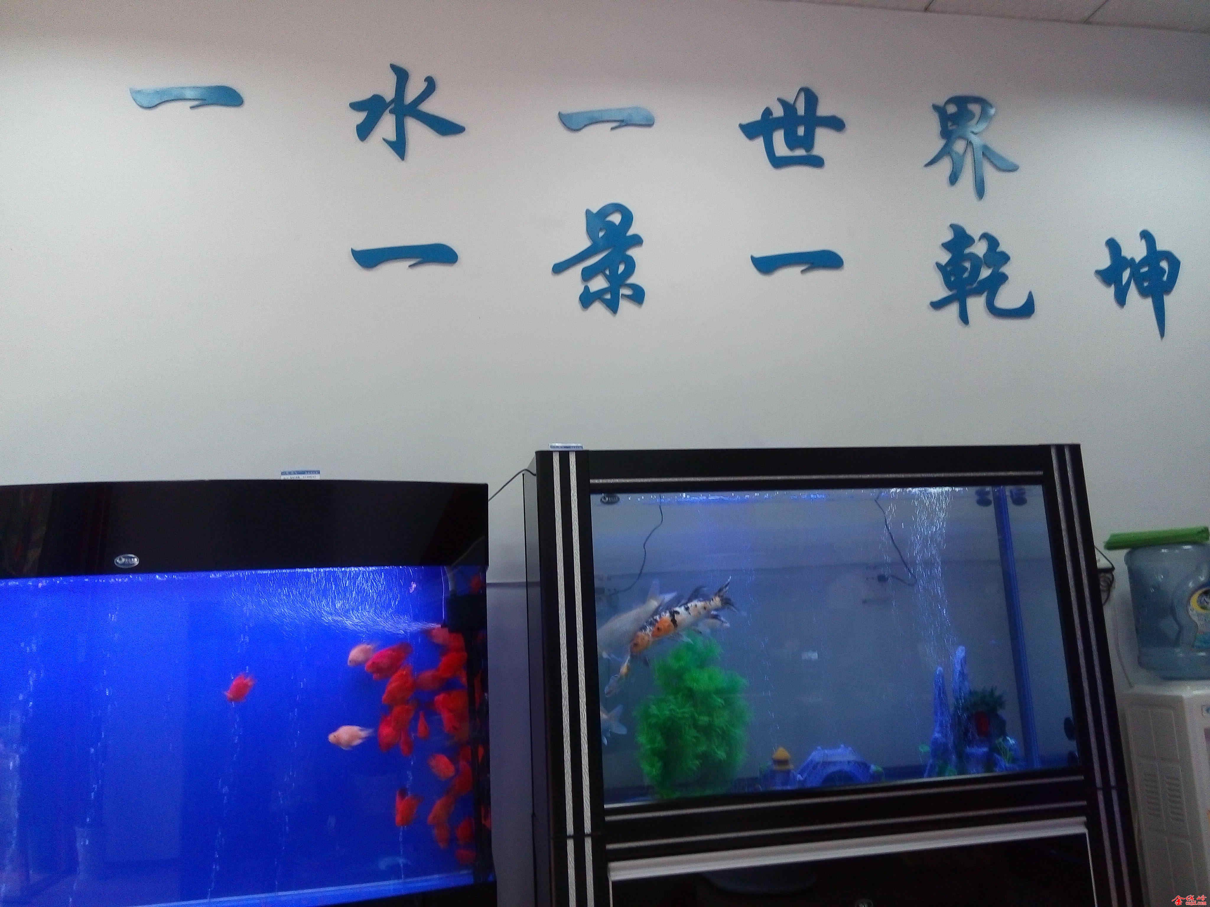 Ƭ 096.jpg