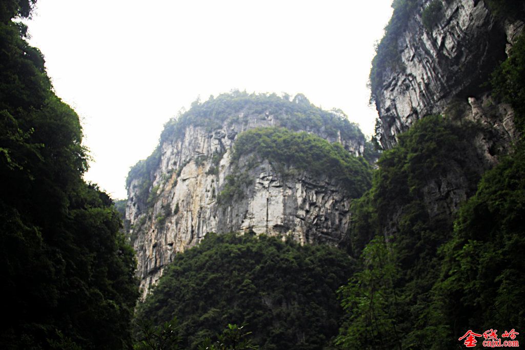 _MG_9625.jpg