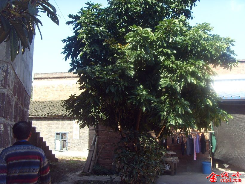 SDC15572.JPG