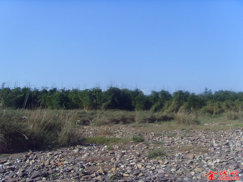 SDC15591.JPG