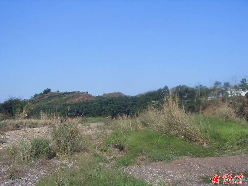 SDC15593.JPG