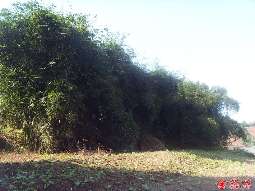 SDC15602.JPG