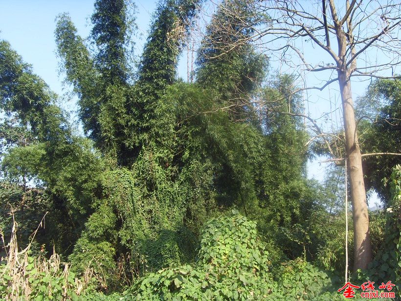 SDC15604.JPG