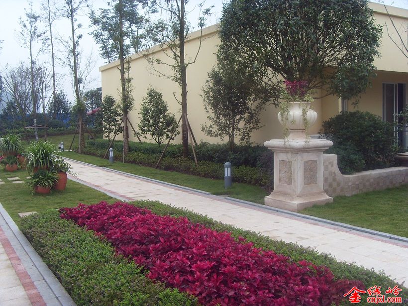 SDC15643.JPG