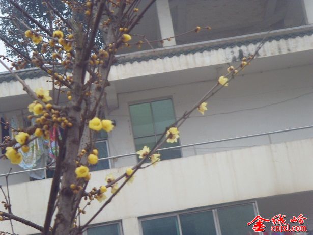 SDC15985.JPG