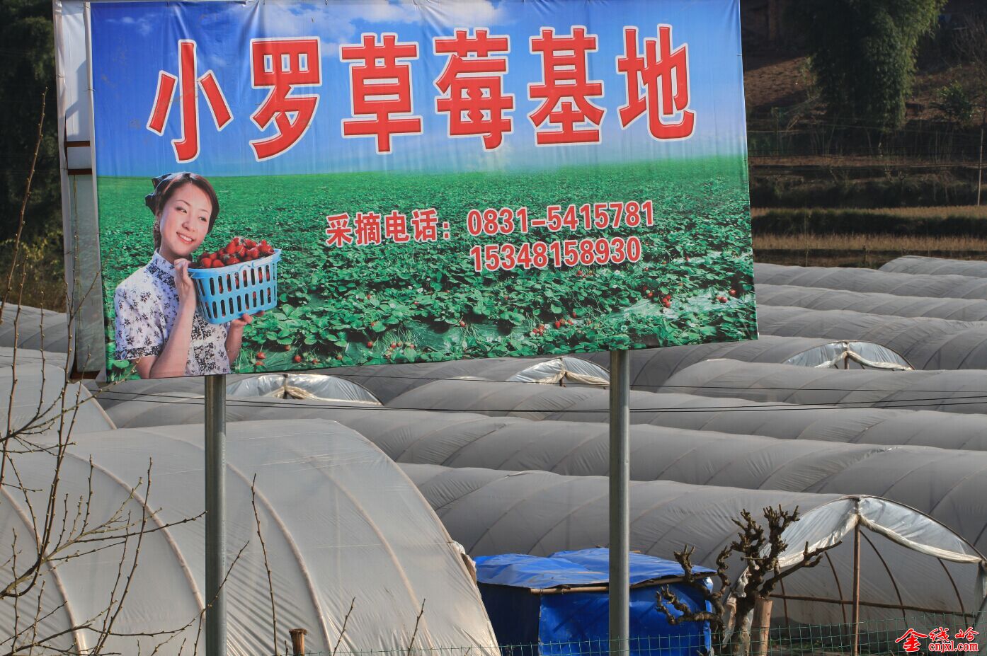 QQͼƬ20150112211516.jpg