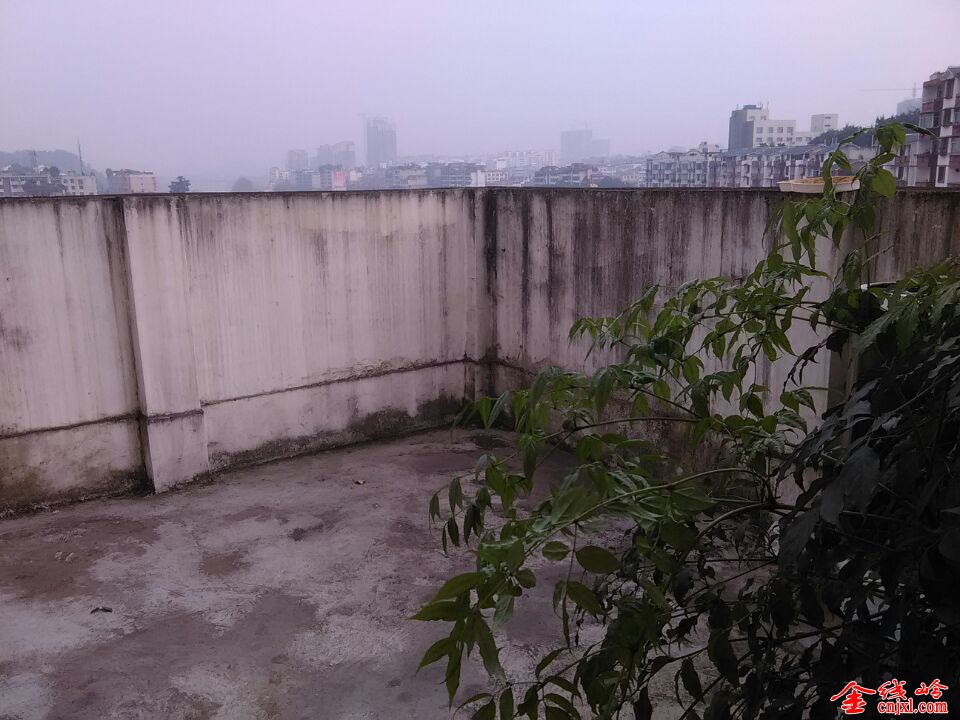 BDBC287249253AB238FC70C16221E551.jpg