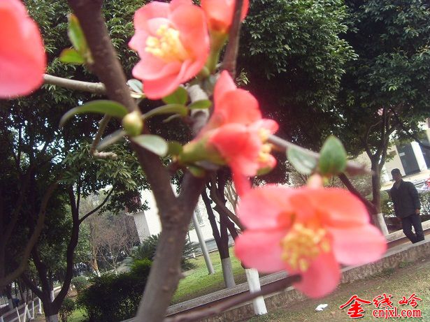 SDC16297.JPG