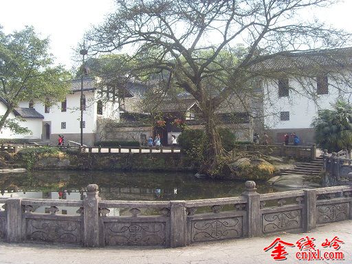 SDC16587.JPG