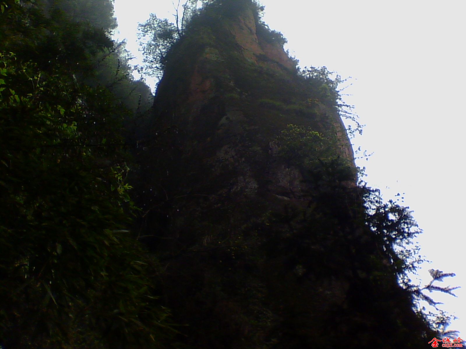 IMG_20150317_105025.jpg